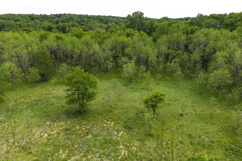 Listing photo 35